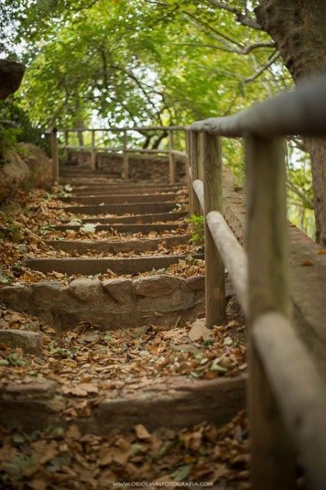escaleras otoño