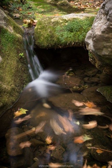 otoño hoja rio agua