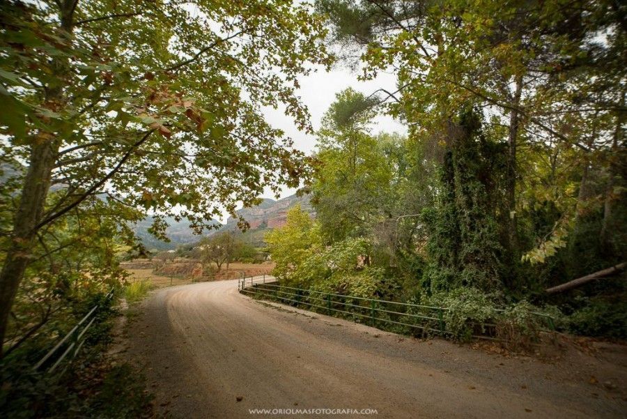 otoño puente camino arboles
