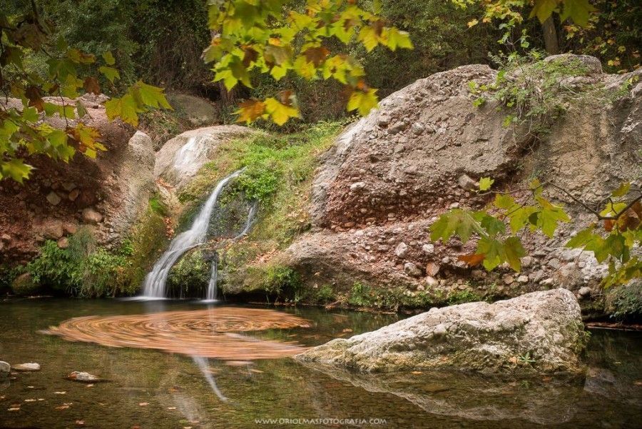 remolino hojas otoño balsa