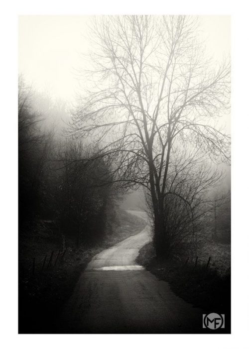 Path Of Calm